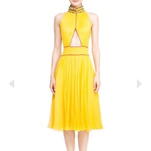 Tadashi Shoji Nacala Dress